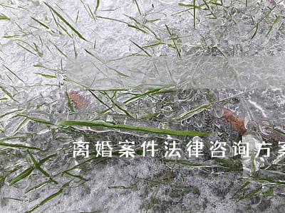 离婚案件法律咨询方案 离婚案件法律咨询方案