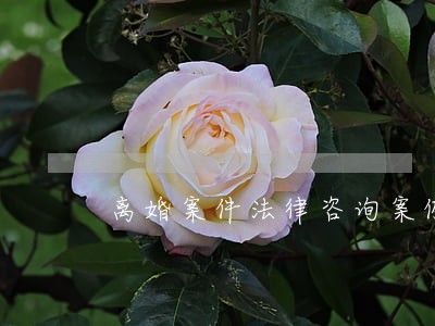 离婚案件法律咨询案例 离婚案件法律咨询案例