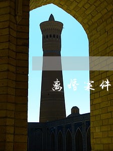 离婚案件被告不服怎么办 离婚案件被告不服怎么办