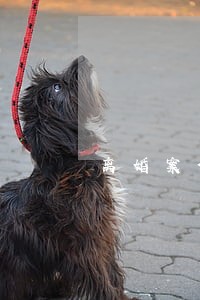 离婚案件诉讼律师 离婚案件诉讼律师