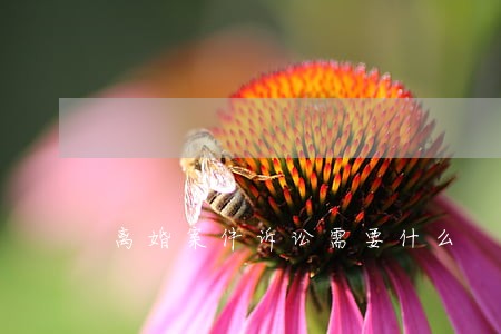 离婚案件诉讼需要什么 离婚案件诉讼需要什么