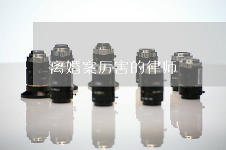 离婚案厉害的律师 离婚案厉害的律师