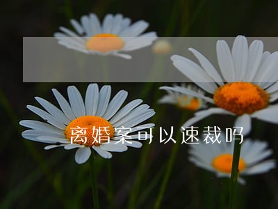 离婚案可以速裁吗 离婚案可以速裁吗