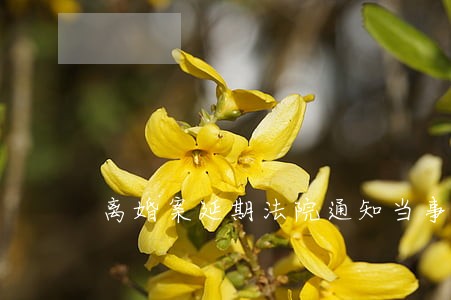 离婚案延期法院通知当事人吗 离婚案延期法院通知当事人吗