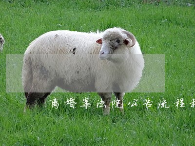 离婚案法院公告流程和时间 离婚案法院公告流程和时间
