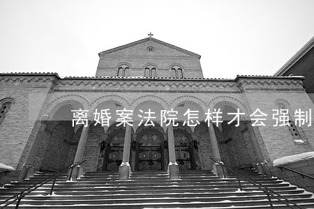 离婚案法院怎样才会强制执行