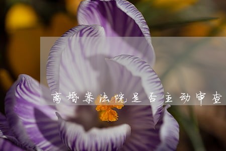 离婚案法院是否主动审查债权债务 离婚案法院是否主动审查债权债务