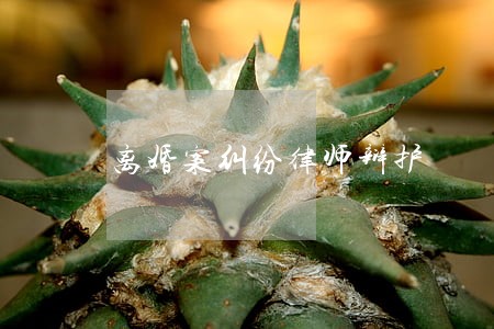 离婚案纠纷律师辩护 离婚案纠纷律师辩护