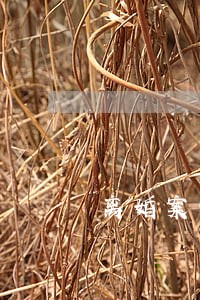 离婚案需要多少律师费 离婚案需要多少律师费