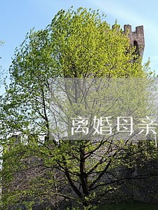 离婚母亲不同意孩子改名 离婚母亲不同意孩子改名
