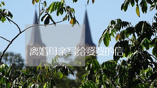 离婚母亲写给婆婆的信 离婚母亲写给婆婆的信