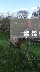 离婚法律咨询一般多少钱 离婚法律咨询一般多少钱
