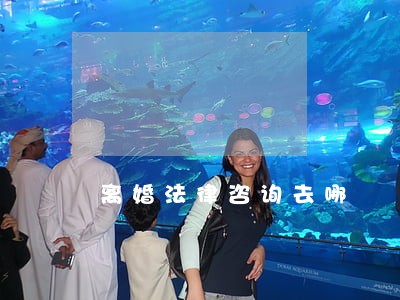 离婚法律咨询去哪 离婚法律咨询去哪