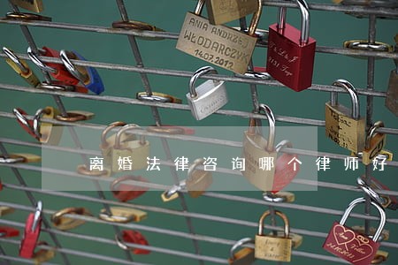 离婚法律咨询哪个律师好 离婚法律咨询哪个律师好