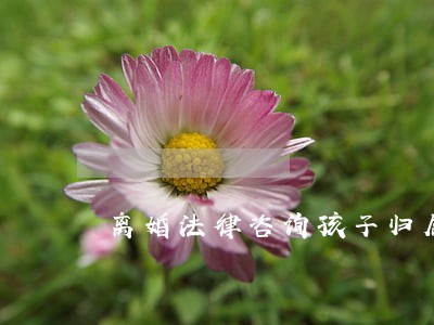 离婚法律咨询孩子归属 离婚法律咨询孩子归属