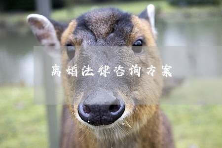 离婚法律咨询方案 离婚法律咨询方案