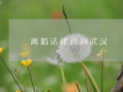 离婚法律咨询武汉 离婚法律咨询武汉
