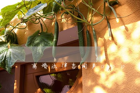 离婚法律咨询类app 离婚法律咨询类app