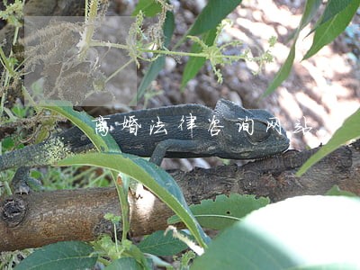 离婚法律咨询网站 离婚法律咨询网站