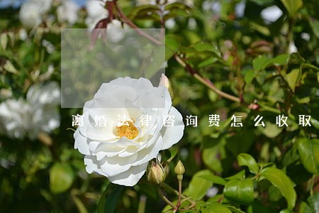 离婚法律咨询费怎么收取 离婚法律咨询费怎么收取