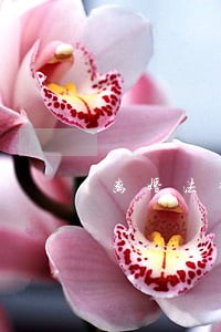 离婚法律大全 离婚法律大全