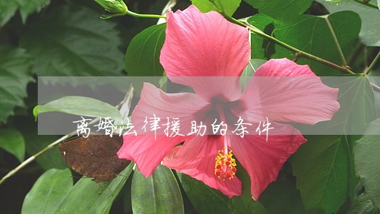 离婚法律援助的条件 离婚法律援助的条件
