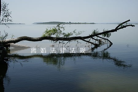离婚法律法规 离婚法律法规