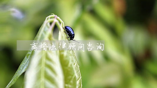 离婚法律顾问咨询 离婚法律顾问咨询