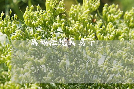 离婚法院买房子 离婚法院买房子