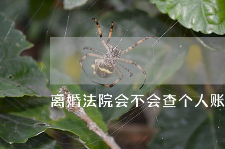 离婚法院会不会查个人账户