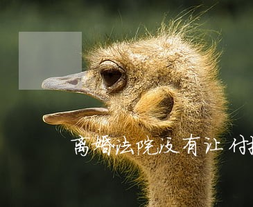 离婚法院没有让付抚养费 离婚法院没有让付抚养费