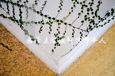 离婚法院调解律师本人 离婚法院调解律师本人
