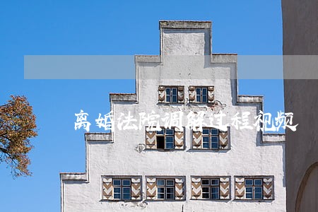 离婚法院调解过程视频 离婚法院调解过程视频