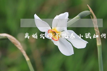 离婚父母不抚养小孩如何告 离婚父母不抚养小孩如何告