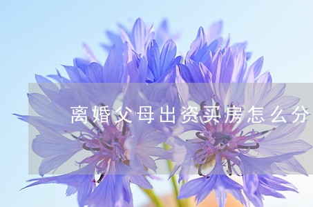 离婚父母出资买房怎么分配 离婚父母出资买房怎么分配