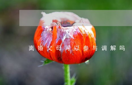 离婚父母可以参与调解吗 离婚父母可以参与调解吗
