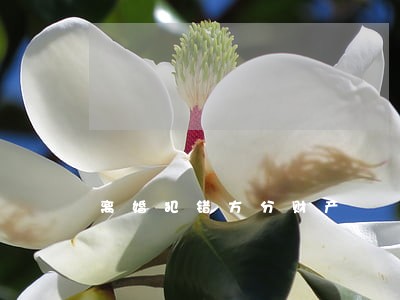 离婚犯错方分财产 离婚犯错方分财产