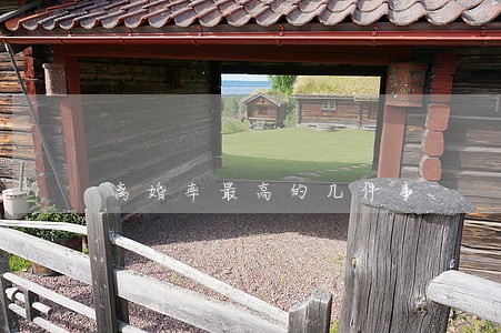 离婚率最高的几件事 离婚率最高的几件事