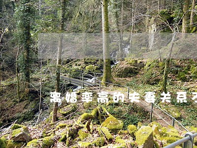 离婚率高的夫妻关系不好 离婚率高的夫妻关系不好