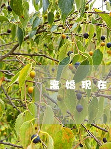 离婚现在需要预约么 离婚现在需要预约么