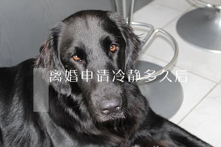 离婚申请冷静多久后 离婚申请冷静多久后