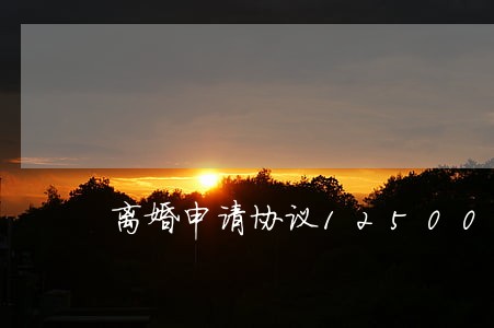 离婚申请协议12500 离婚申请协议12500