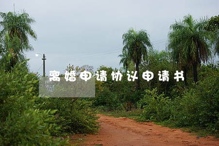 离婚申请协议申请书 离婚申请协议申请书