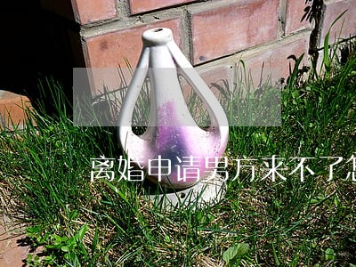 离婚申请男方来不了怎么办 离婚申请男方来不了怎么办