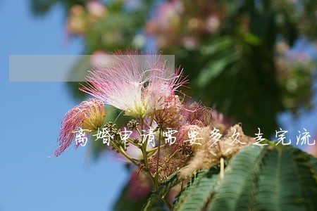 离婚申请需要多久走完流程 离婚申请需要多久走完流程