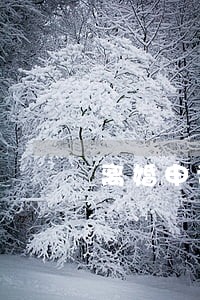 离婚申请需要带身份证原件吗 离婚申请需要带身份证原件吗