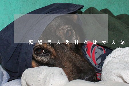离婚男人为什么比女人绝情 离婚男人为什么比女人绝情