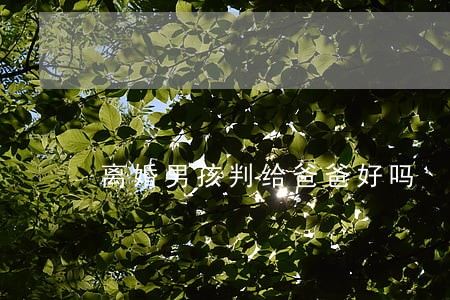 离婚男孩判给爸爸好吗
