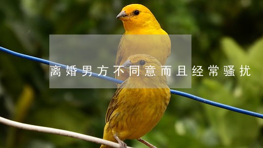 离婚男方不同意而且经常骚扰 离婚男方不同意而且经常骚扰
