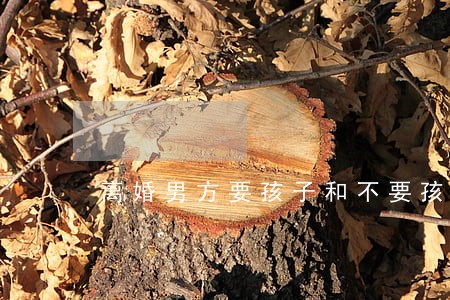 离婚男方要孩子和不要孩子 离婚男方要孩子和不要孩子